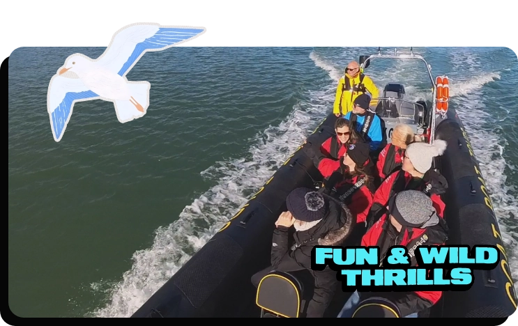 A group of people in red and black jackets ride a speedboat on the water during a Dublin boat tour, with a seagull illustration and the text "FUN & WILD THRILLS" in bold letters in the bottom right corner.