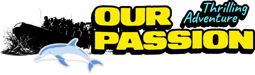 Illustration featuring a blue dolphin jumping out of stylized waves. The text OUR PASSION is in bold yellow, and "Thrilling Adventure" is written in blue, positioned above the dolphin.