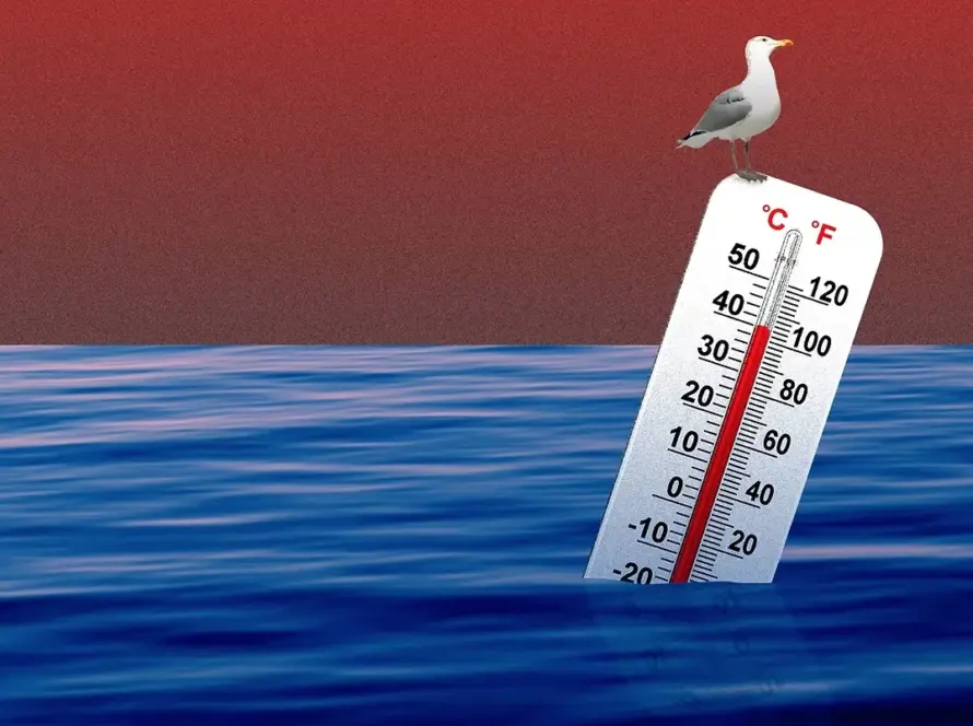 A seagull stands on top of a large thermometer partially submerged in the ocean, with the temperature reading high. The sky is a gradient of red, suggesting heat or climate change.