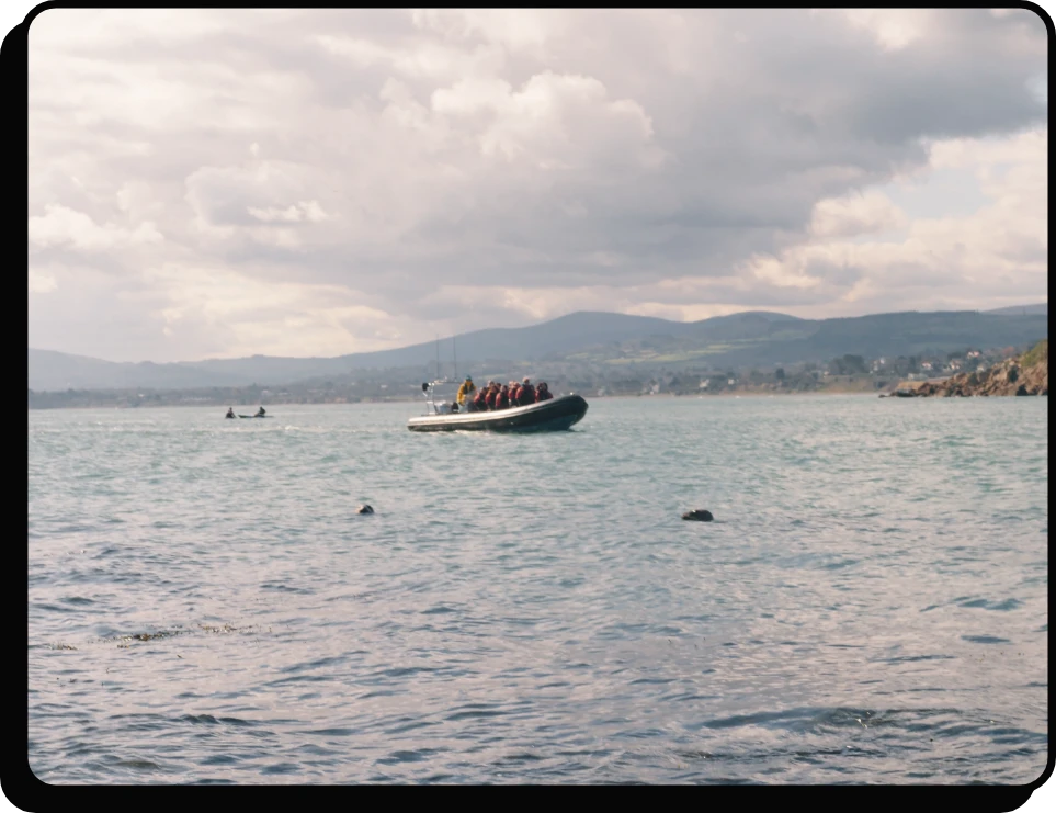 A small inflatable boat carrying people floats on a calm body of water, with mountains and a cloudy sky in the background. Two seals are visible swimming in the foreground.