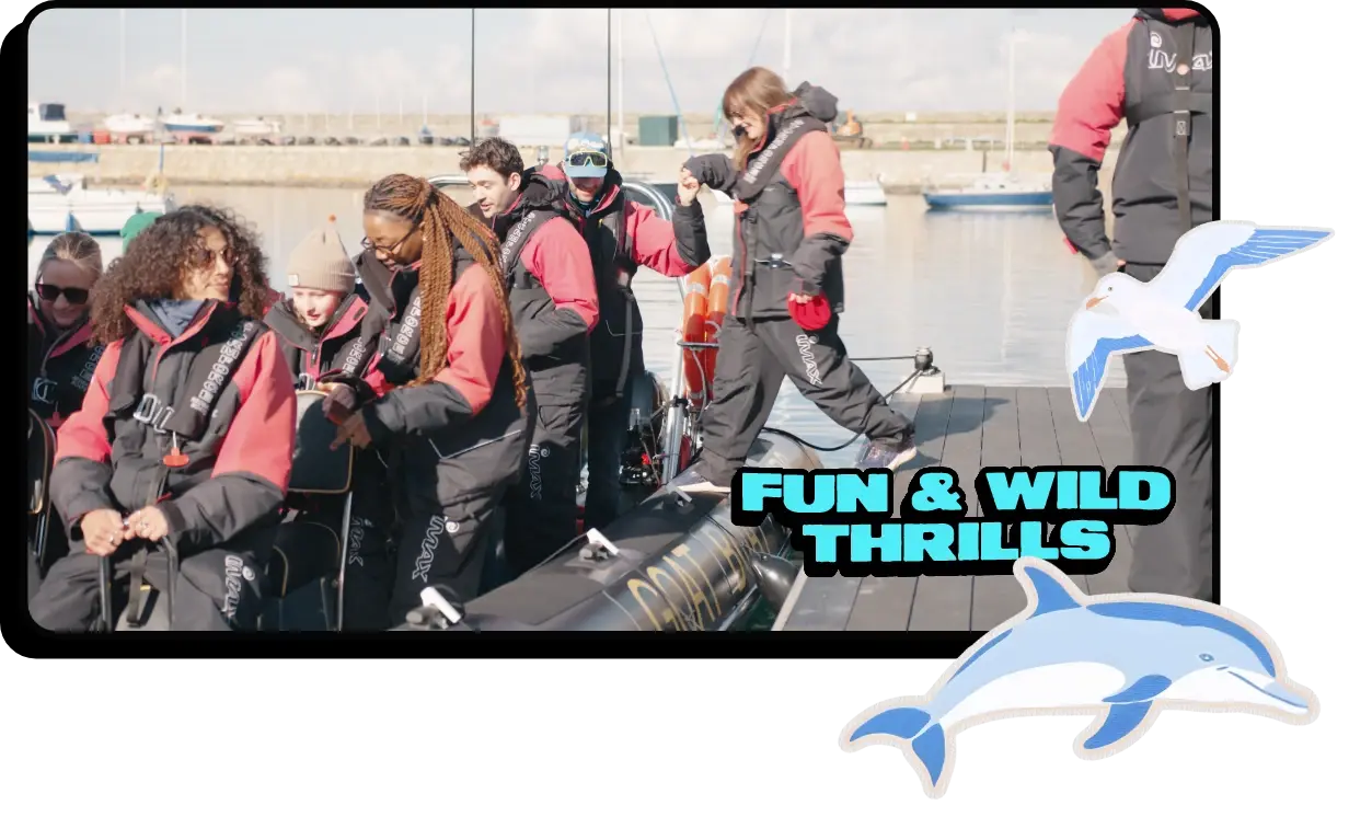 A group of people in life jackets prepare for a boat ride at a marina. Text reads FUN & WILD THRILLS with cartoon images of a dolphin and a seagull decorating the scene.