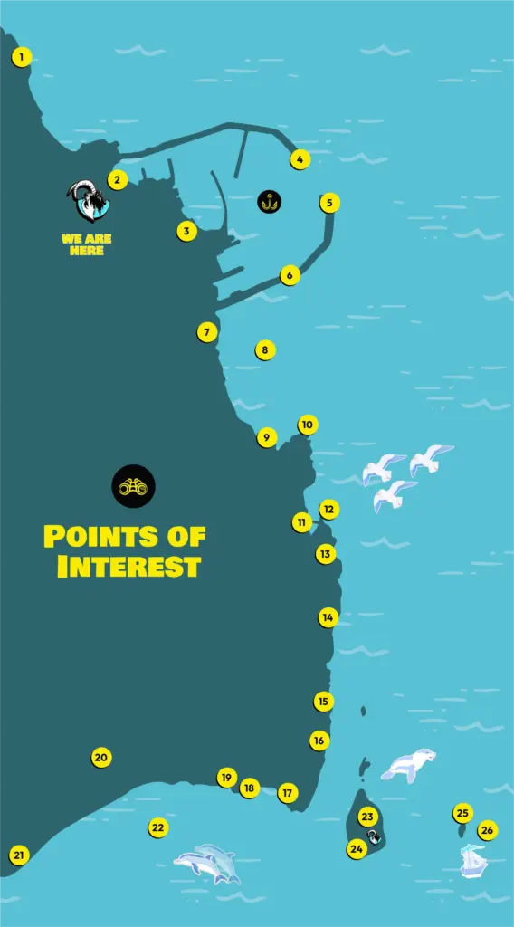 Illustrated map titled "Points of Interest" shows a coastal area featuring numbered yellow points, dolphins, whales, seagulls, and landmarks—perfect for exploring with Dublin boat tours. The words "We Are Here" appear near the top left.