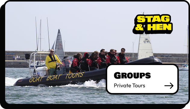A group of people in red jackets enjoys a fast Dublin boat tour labeled "Goat Boat Tours" on the water, with a "Stag & Hen" sign and a "Groups Private Tours" booking button overlaid. Sailboats and a stone pier are in the background.